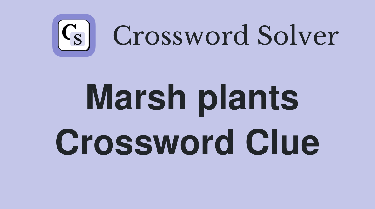 Marsh plants Crossword Clue Answers Crossword Solver